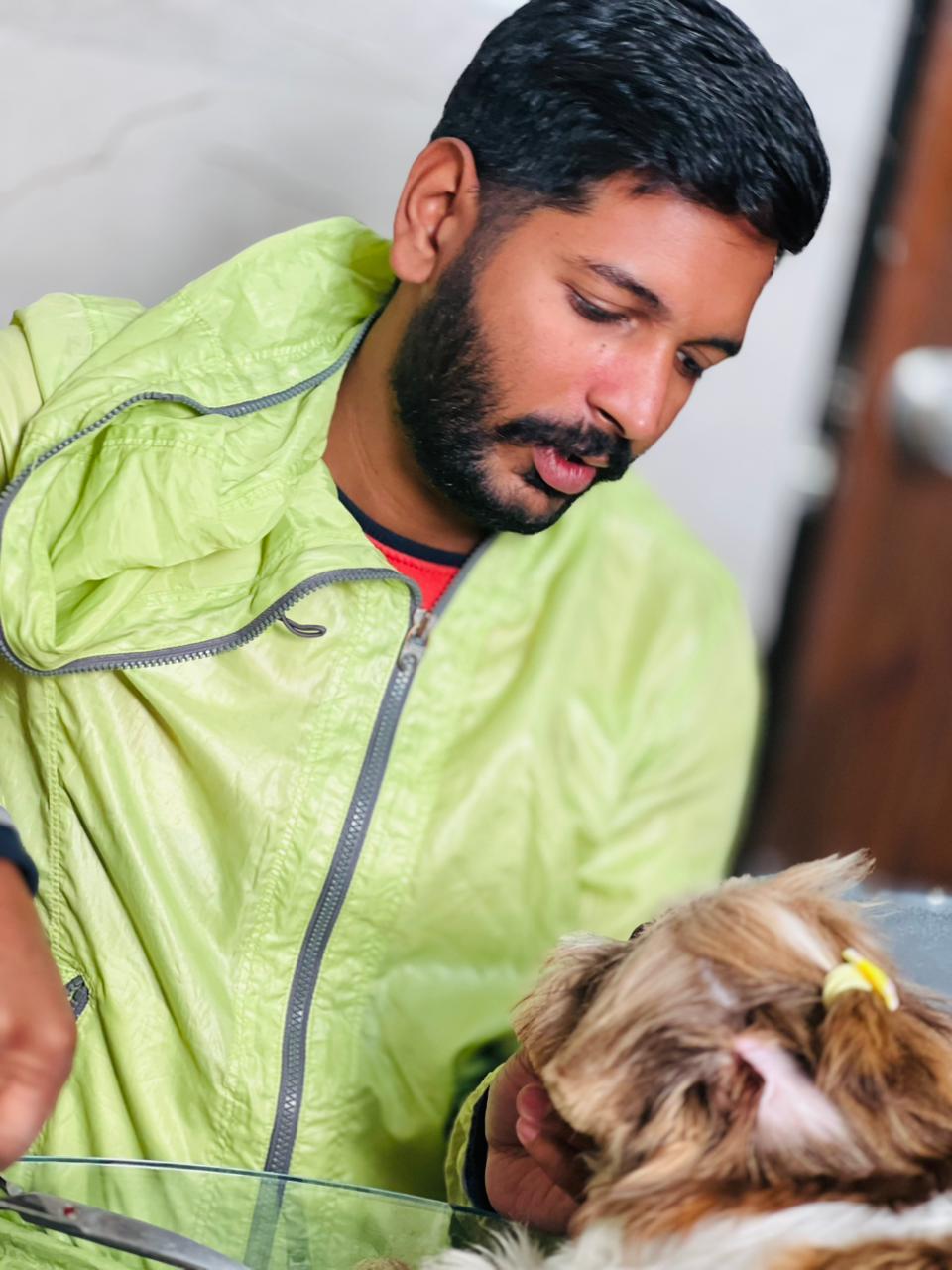 Professional groomer brushing a fluffy dog