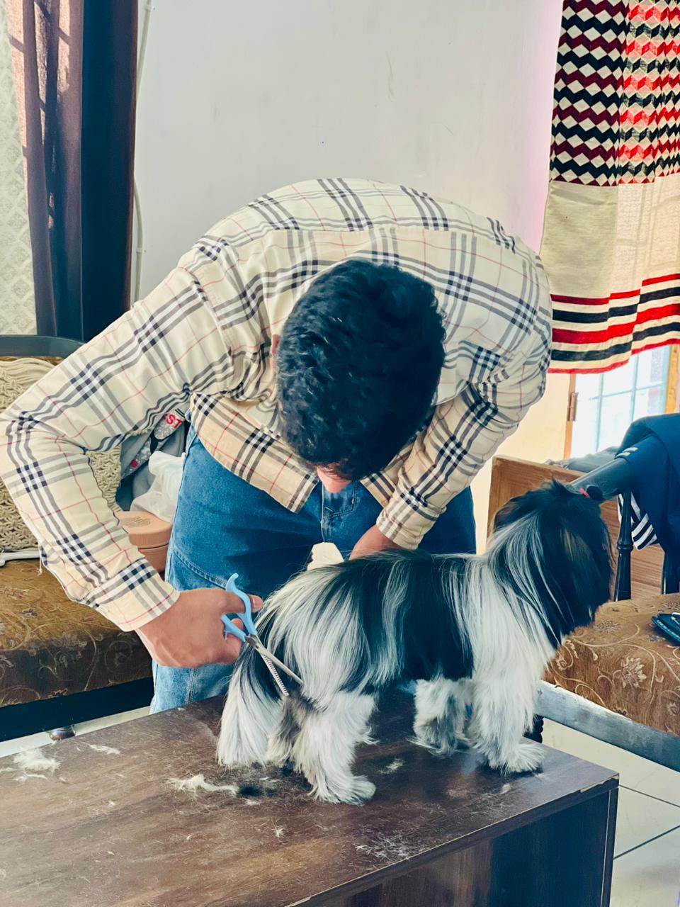 Grooming tools neatly arranged for an at-home visit